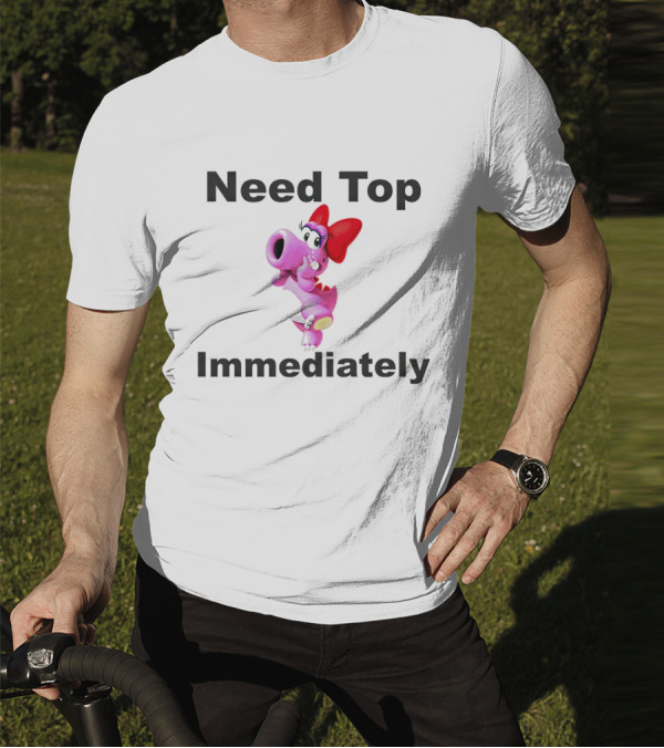 Need Top Immediately Bow Dinosaur Character T-Shirt
