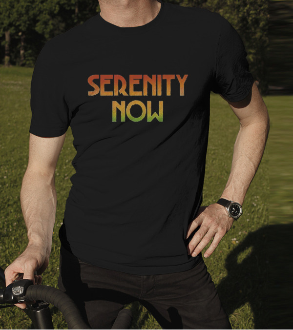 Serenity Now Seinfeld Quote Retro Gradient T-Shirt