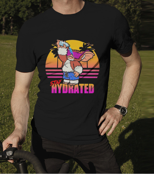 Stay Hydrated Gizmo Summer Beach Vibes With Sunset And Palm Trees T-Shirt