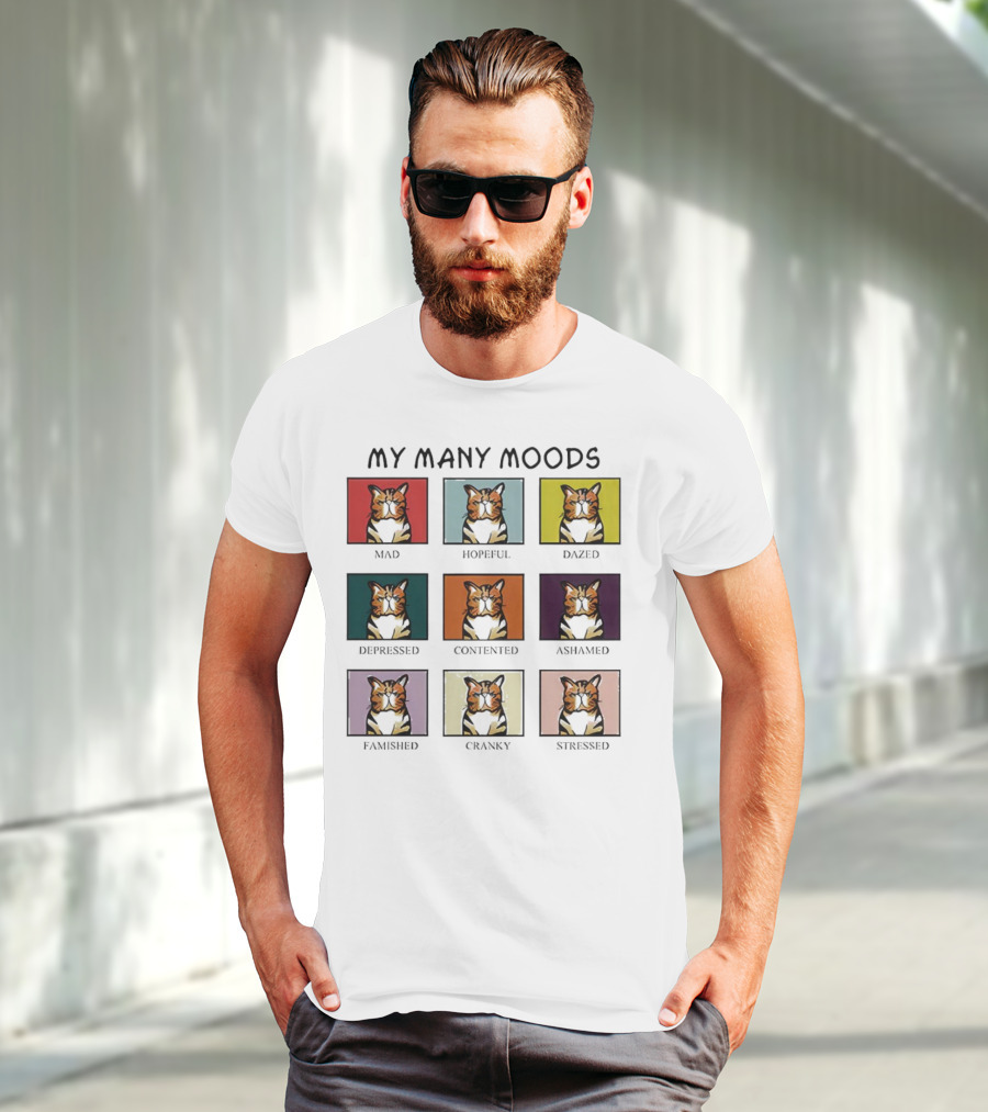 My Many Moods Mad Hopeful Dazed Depressed Contented Ashamed Famished Cranky Stressed T-Shirt