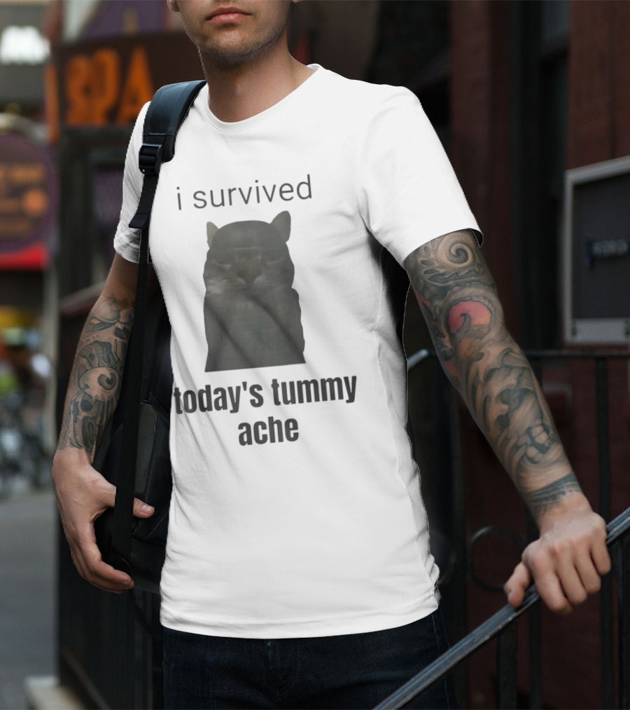 I Survived Today's Tummy Ache Cat Image T-Shirt