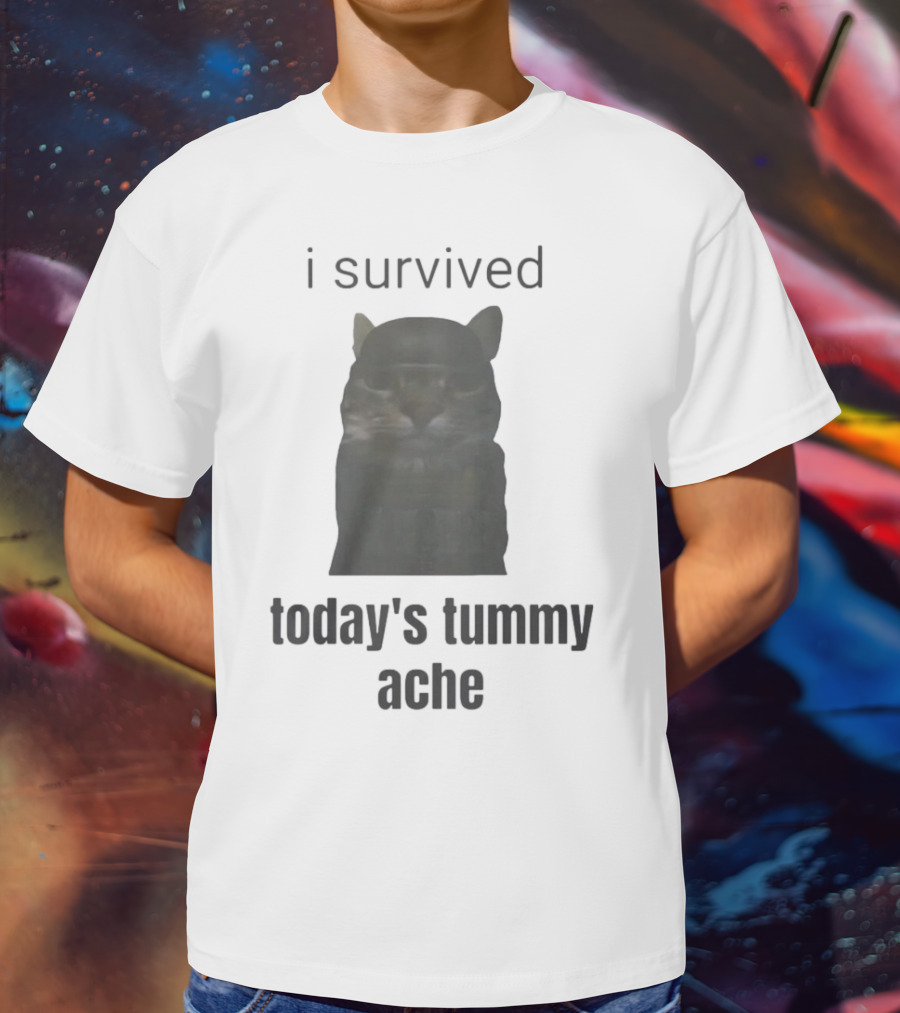 I Survived Today's Tummy Ache Cat Image T-Shirt