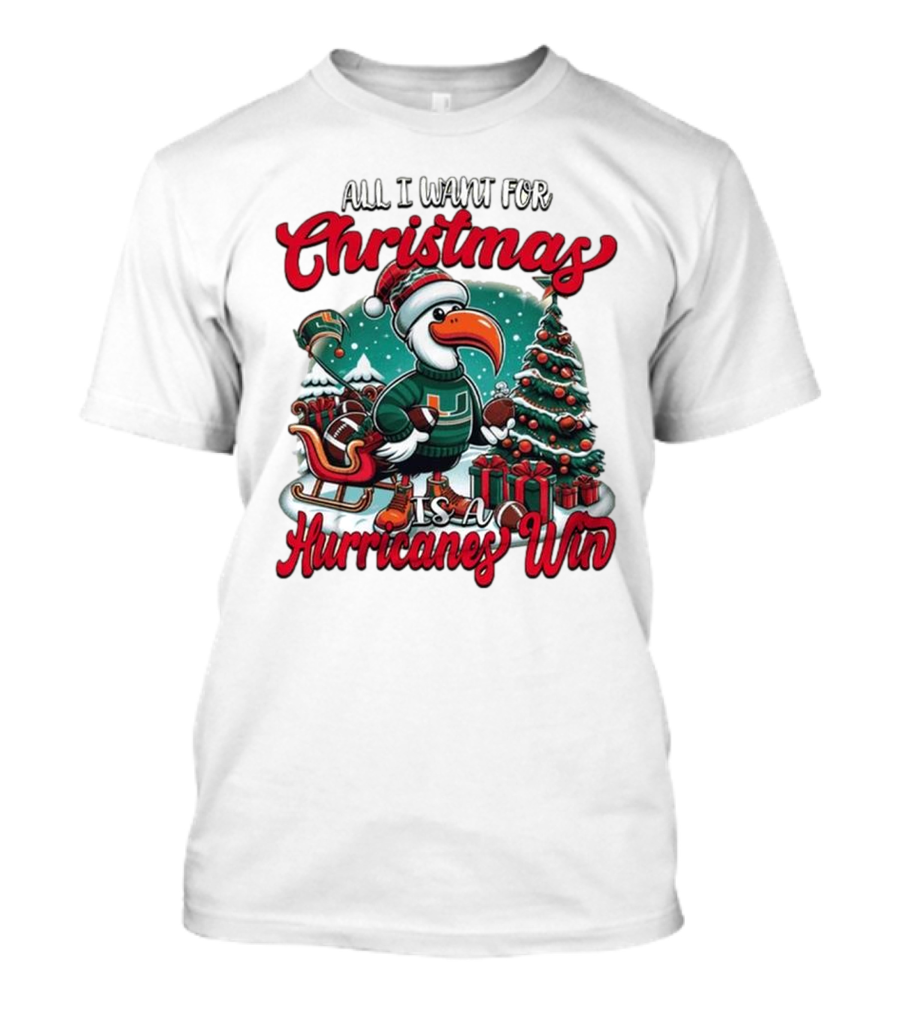 All I Want For Christmas Is A Hurricanes Win Santa Birdfest T-Shirt