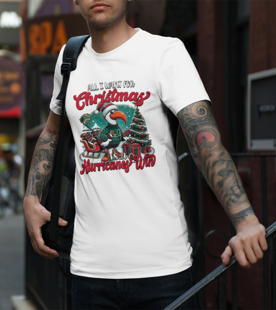 All I Want For Christmas Is A Hurricanes Win Santa Birdfest T-Shirt