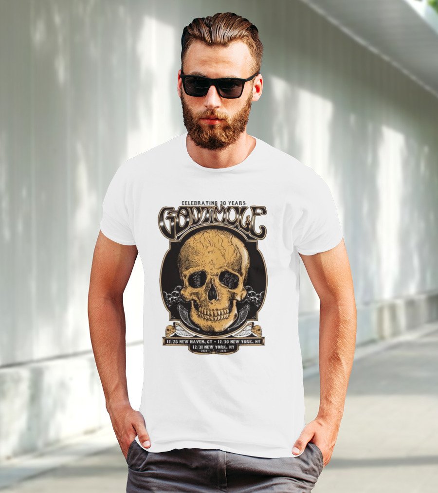 Celebrating 30 Years Gov’t Mule Skull Design Dec 28 New Haven CT Dec 30-31 New York NY T-Shirt