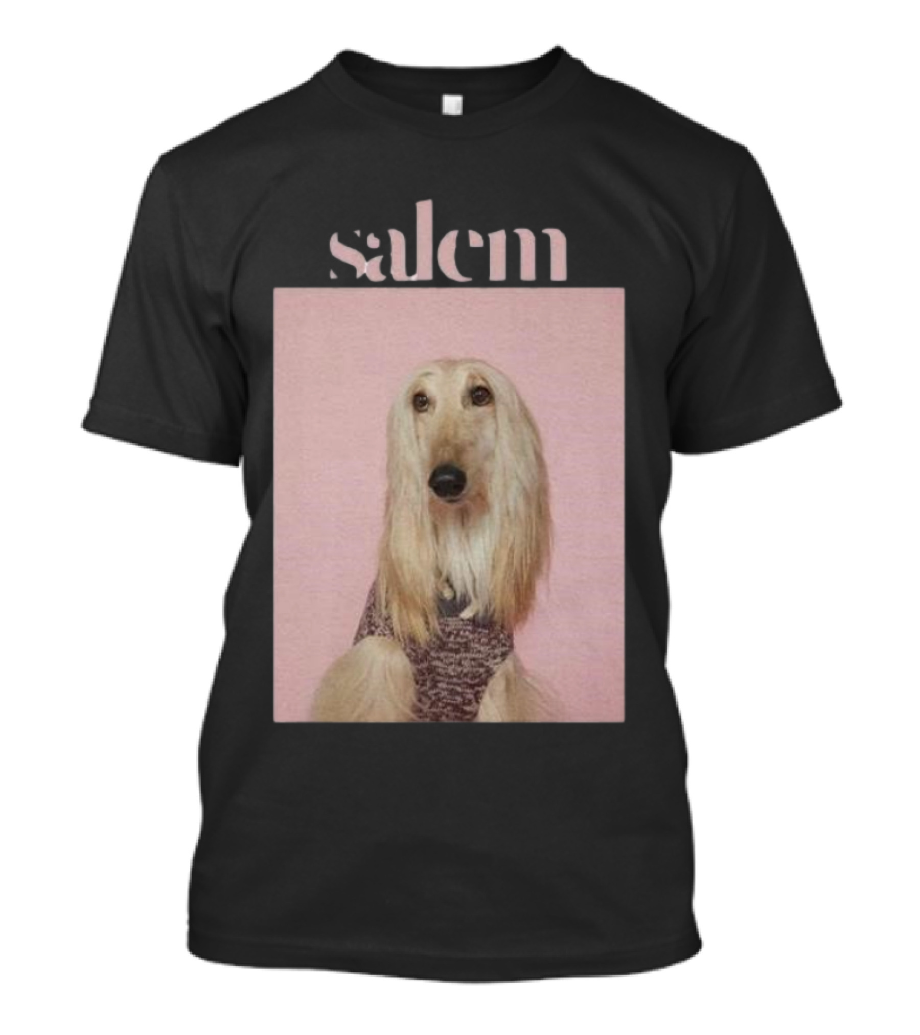 Salem Ilese Dog Afghan Hound Portrait On Pink Background T-Shirt