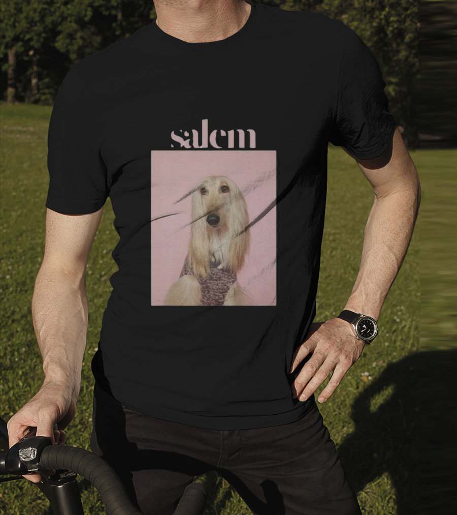 Salem Ilese Dog Afghan Hound Portrait On Pink Background T-Shirt