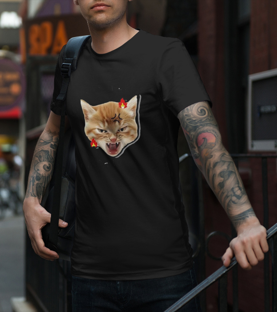 Childless Angry Cat Lady Voter Flame Emoji T-Shirt