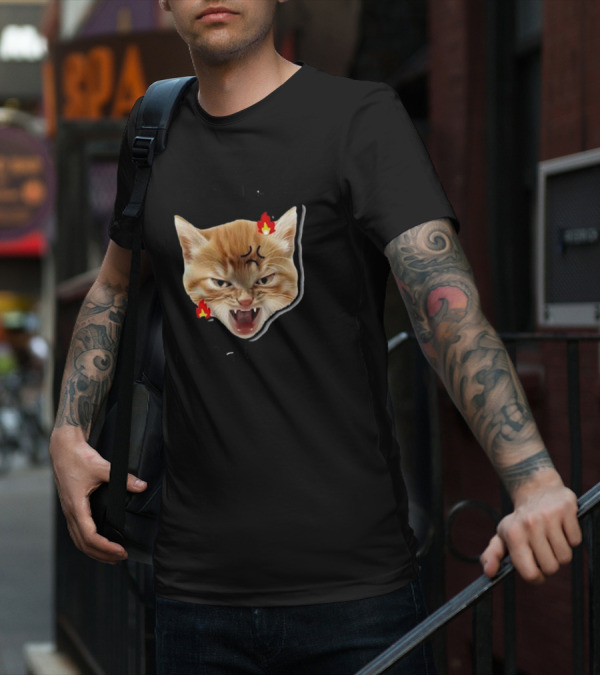 Childless Angry Cat Lady Voter Flame Emoji T-Shirt