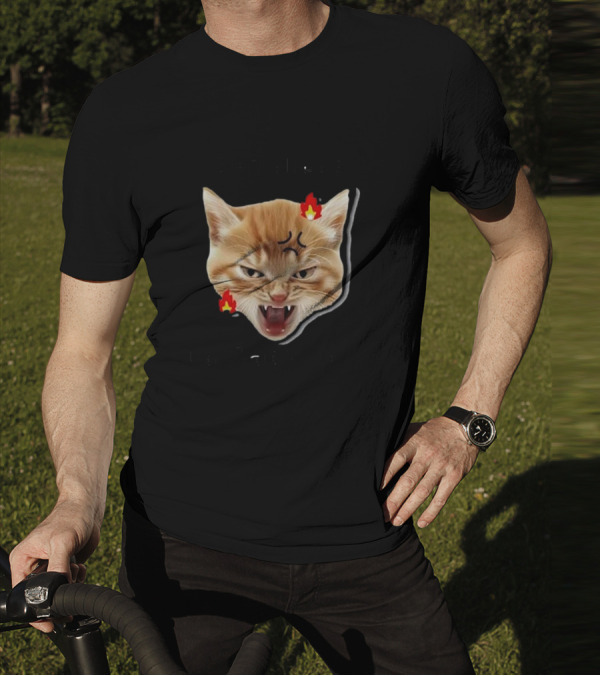 Childless Angry Cat Lady Voter Flame Emoji T-Shirt