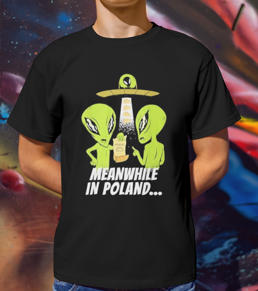 Meanwhile In Poland Alien Abduction Pierogi T-Shirt