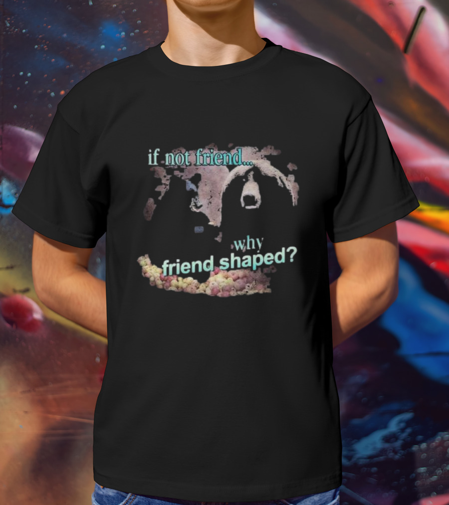 If Not Friend Why Friend Shaped Bear T-Shirt