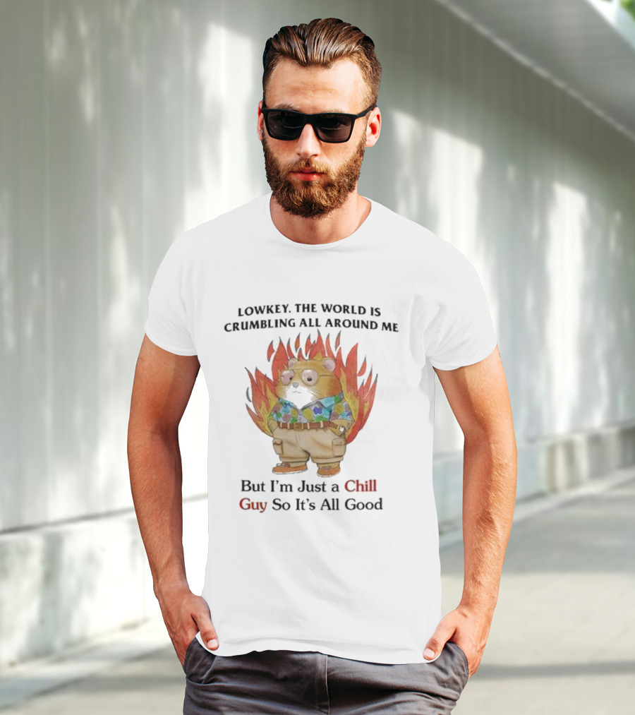 Chill Guy With World Crumbling Fire Background T-Shirt