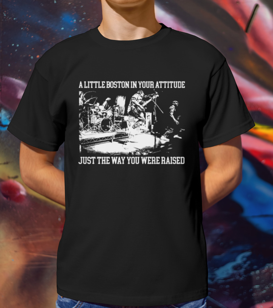 A Little Boston In Your Attitude Just The Way You Were Raised The Menzingers T-Shirt